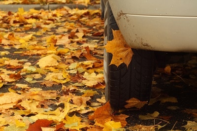 car on leaves