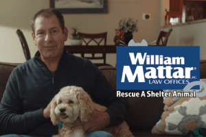 Car accident lawyer William Mattar holding his dog, Peanut Butter