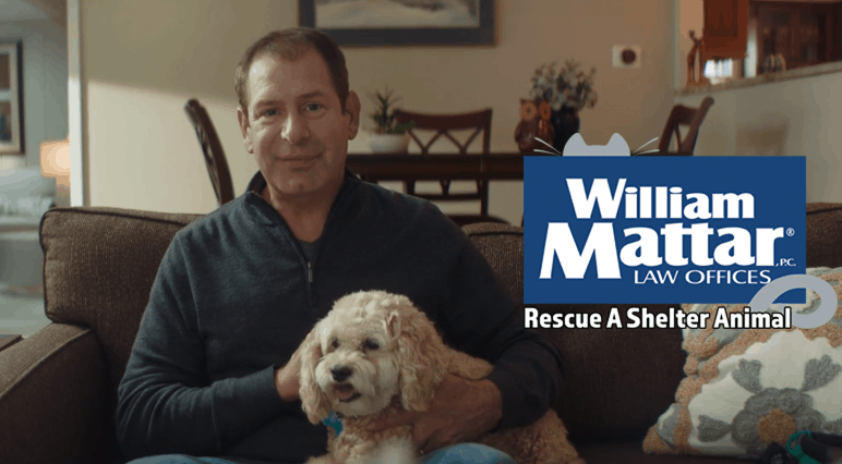 william mattar rescue a shelter animal 2020