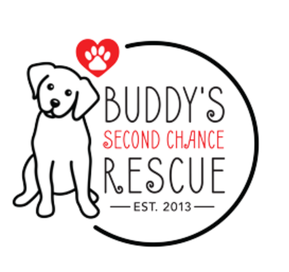 Buddy's Second Chance Rescue logo