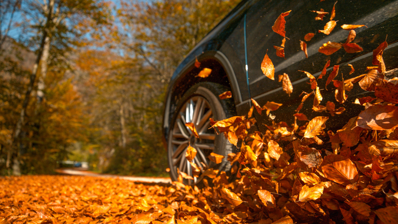 LOW ANGLE, CLOSE UP, DOF: Large 4x4 vehicle drives along a road full of beautiful brown fallen leaves.